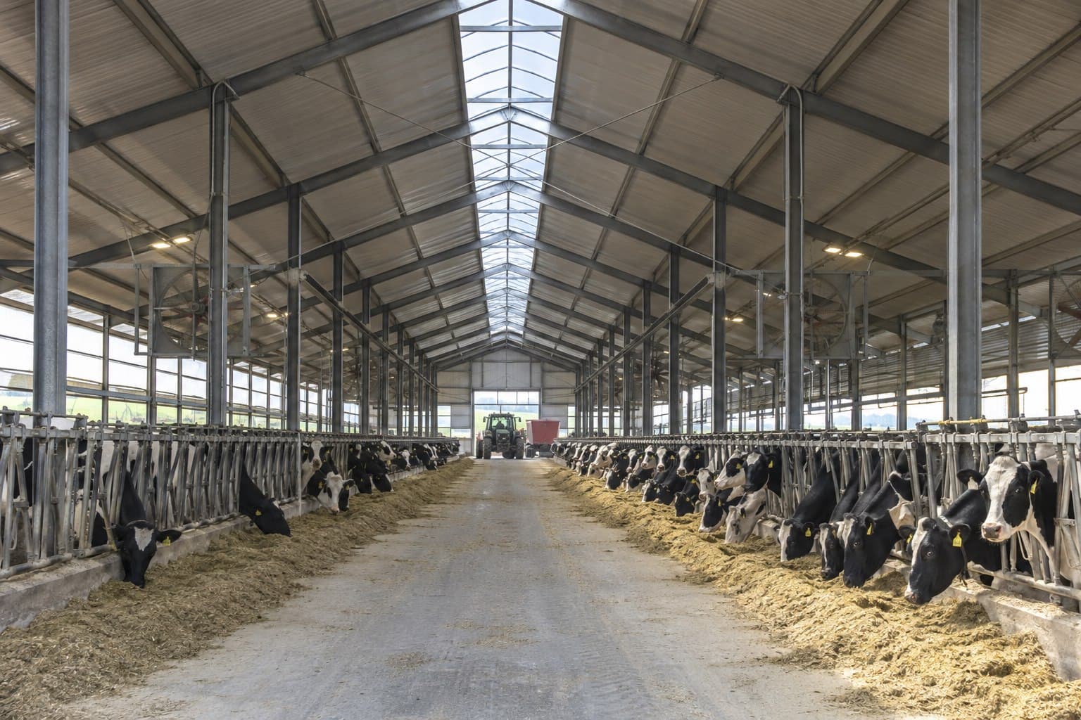 Ventilated steel livestock building in daily agricultural use
